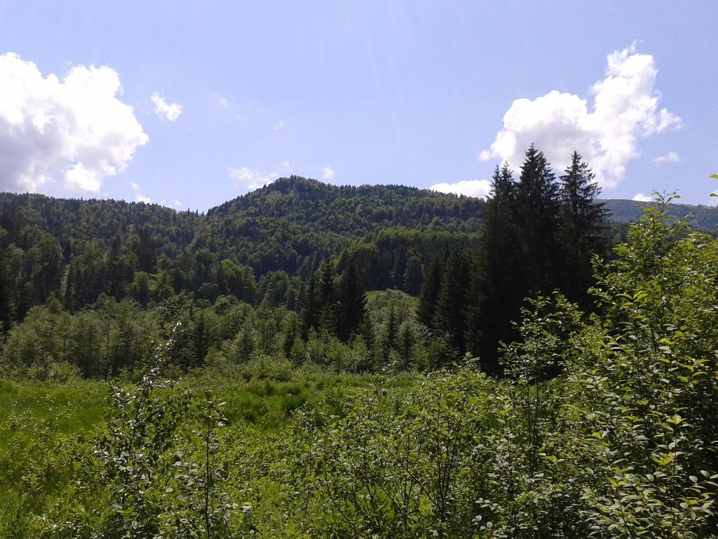 Landhaus Bellecote Reit im Winkl Cameră foto